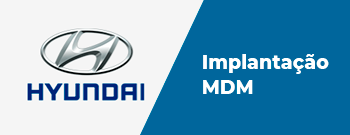 Case Hyundai